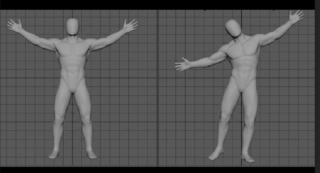 Breaking twinning by adding asymmetry to a pose's silhouette